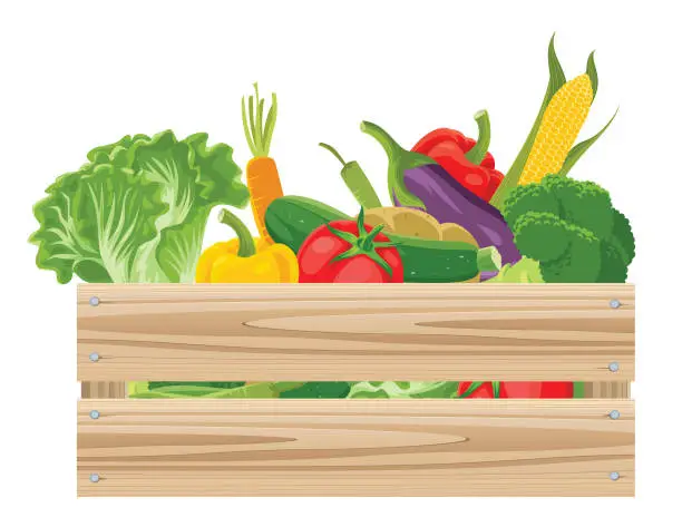 Vector illustration of Wooden crate full of fresh vegetables.