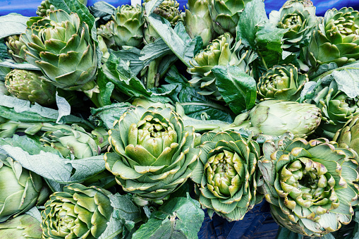 Fresh artichokes at farmers market. Close-up of fresh artichokes