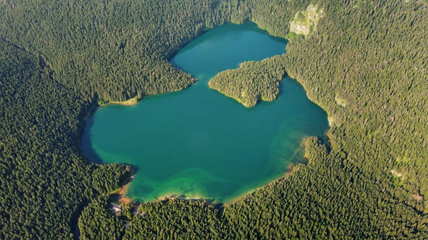 istock Famous Black Lake in Durmitor park 2096122085