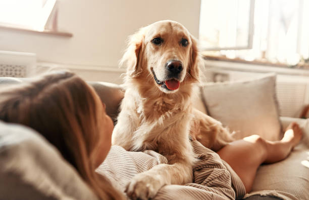 istock Woman at home 2096138491
