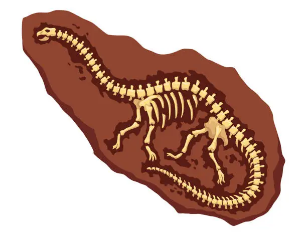 Vector illustration of Dinosaur fossil skeleton bones, excavations of archeology isolated. Prehistoric reptile skeletons lying underground. Cartoon paleontological artifact