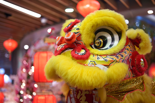 Close-up of yellow Chinese Lions dancing during Chinese New Year celebrations