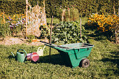 Watering cans and wheelbarrow standing on the earth. Gardening hobby concept. Outdoor gardening tools