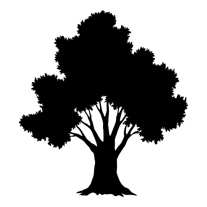 Tree silhouette. Forest and park deciduous tree. Vector nature isolated retro image.