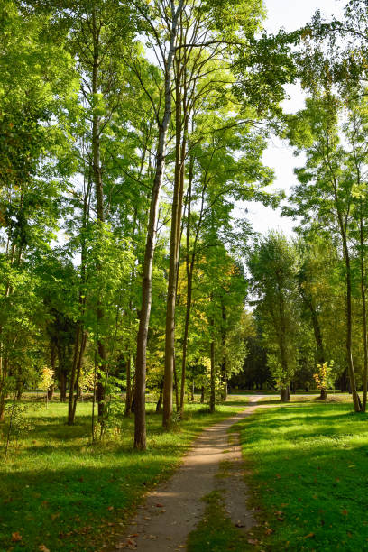 istock Path in the autumn park. Beautiful autumn landscape. 2096174010