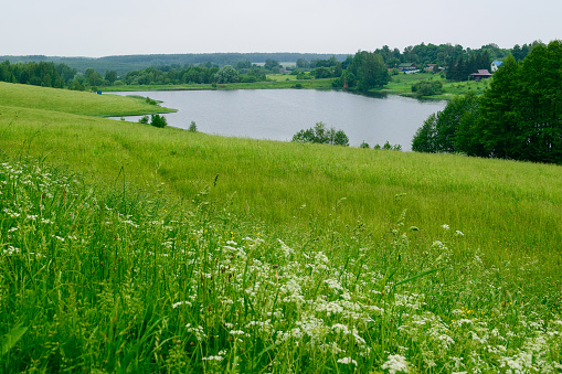 Path in a green meadow. View of the lake on a cloudy day. Beautiful summer landscape.