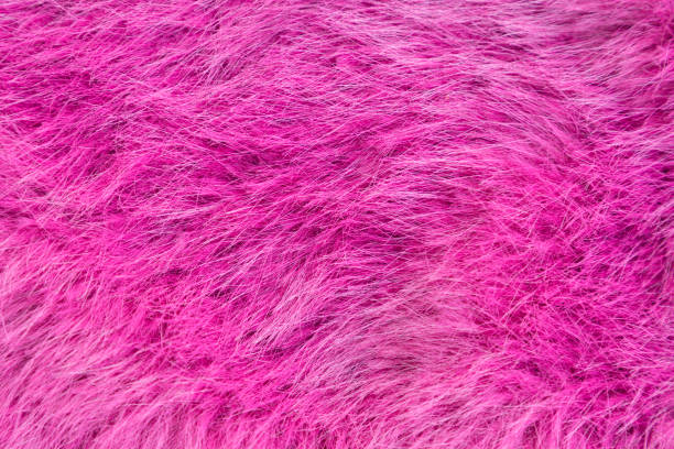istock Pink fluffy fur texture background, Fleece texture, Synthetic fur fabric 2096174559