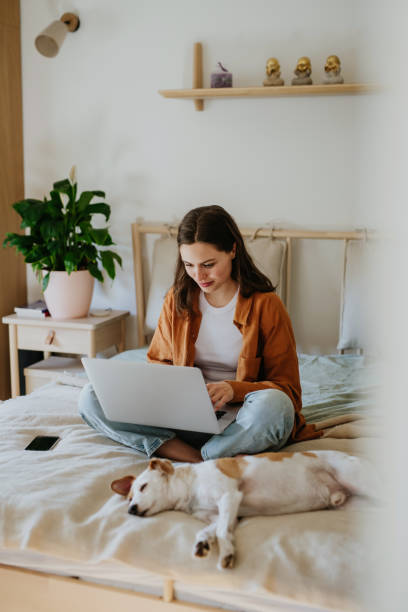 istock Young student e-learning on laptop at home, cute small dog besides. Businesswoman working remotely, sitting on bed. Homeoffice for single woman living alone. 2096189069