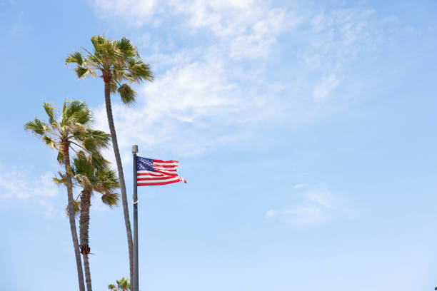 This is a photograph of the top of a palm tree with a cloudy sky on Siesta Key in Sarasota, Florida on a sunny winter day.