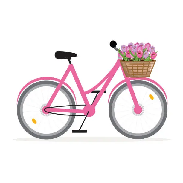 Vector illustration of Pink Bicycle with Colourful Tulips