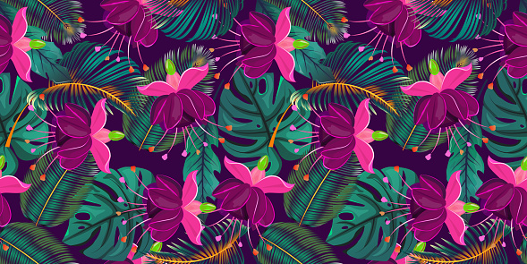 Fuchsia Vector Pattern Fuchsia Floral Seamless Pattern Stock Illustration - Download Image Now ...