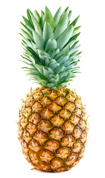istock Fresh organic pineapple leaves isolated clipping path 2096267858
