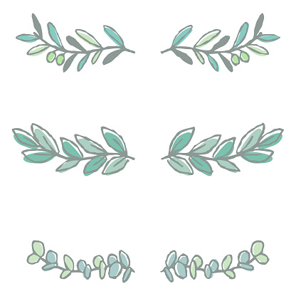 Illustration set of ruled leaves (olive, laurel, eucalyptus) hand-drawn line drawing