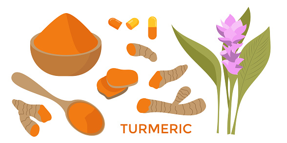 Turmeric curcuma orange root sliced and in powder in bowl and in spoon, curcuma flower with leaves. Vector illustration of spice and healthy food additive.