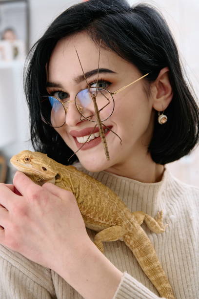 istock Woamn and Her Pets: A Bearded Dragon and a Stick Insect 2096302332