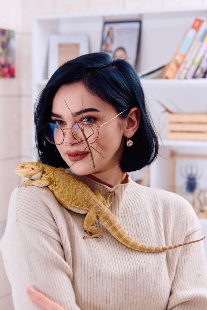 istock Woamn and Her Pets: A Bearded Dragon and a Stick Insect 2096303908