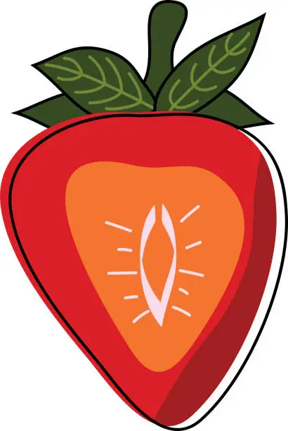 Vector illustration of Half of strawberry. Cute cartoon red berry