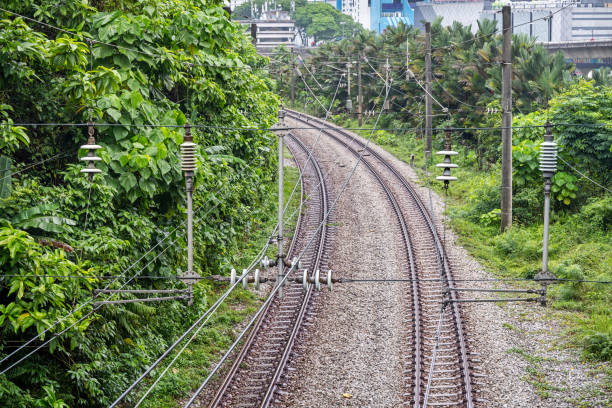 Railway tracks and electrical cables in lush surroundings in a suburb to the Malaysian capital Kuala Lumpur