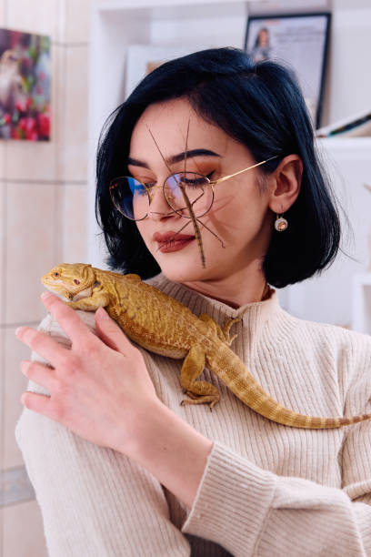 istock Woamn and Her Pets: A Bearded Dragon and a Stick Insect 2096329073