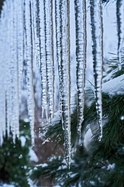 Beautiful icicles cascading from a roof and providing a view