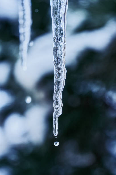 Beautiful icicles cascading from a roof and providing a view