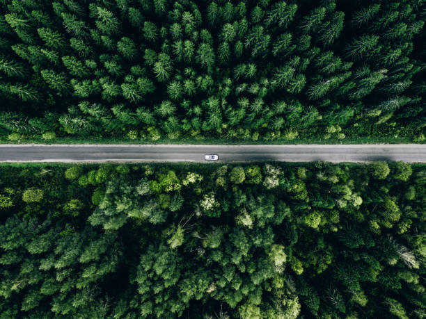 istock Aerial view green summer forest and asphalt road with car 2096346082