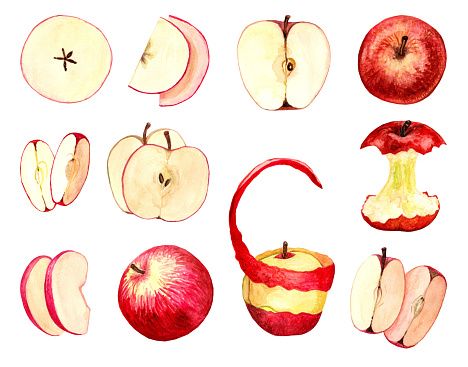 Beautiful juicy set of apple isolated. Watercolor illustration hand drawn illustration