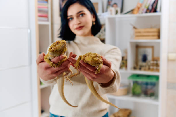 istock Beautiful Woman Posing with Her Two Adorable Bearded Dragon Pets 2096393359