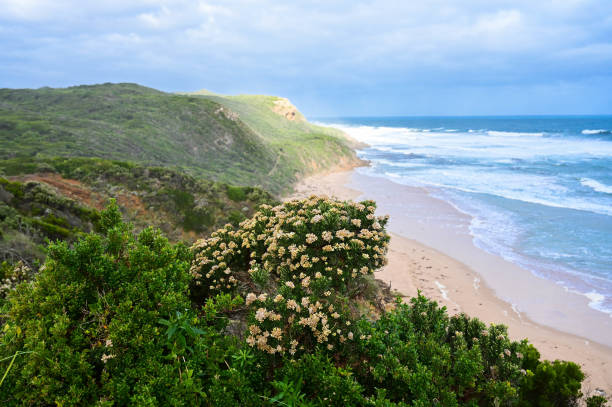 Rocky coastline beach with a view of the ocean and cloudy sky at Point Londsdale in Victoria, Australia