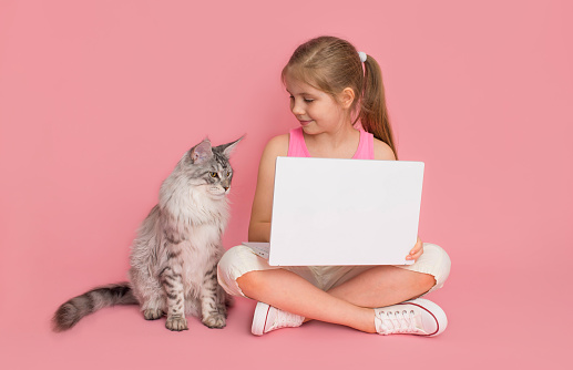 Little girl with laptop and big grey Maine coon cat over pink background.