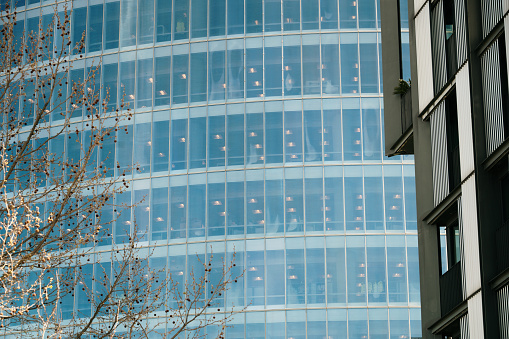 Glass facade of an office skyscraper