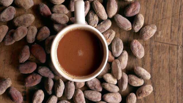 Top view of hot chocolate drink, cocoa drink and natural cocoa powder with brown cocoa beans and dry cacao pod  on a vintage wooden table.