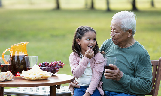 A 5 year old girl sitting on her grandfather's lap outdoors, in a back yard or park They are eating snacks and drinking refreshments. The Asian man with white hair is in his 70s. His granddaughter is multiracial, Asian and Caucasian.