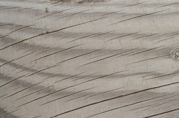 light brown almost gray natural wood texture background with pronounced grains