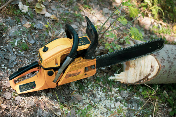 istock the chainsaw in the forest close up look 2096431676