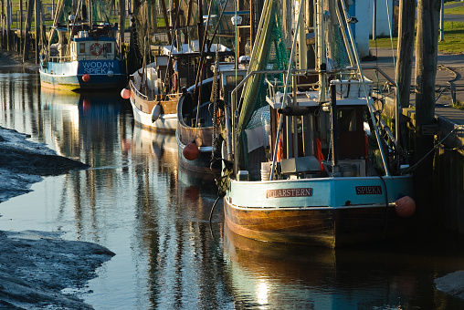 Spieka Neufeld, Germany – August 20, 2014: several boats tied up at a dock near the shore line