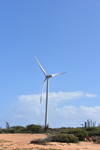 Green sustainable energy with a single windmill turbine in Aruba.