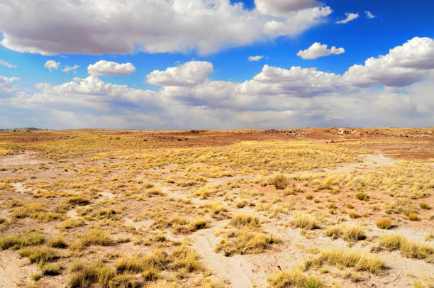 istock Alien Landscape Petrified Forest National Park Arizona 2096498481
