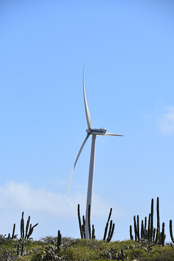 Clean green energy from a wind turbine in Aruba.