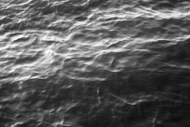abstract background of rippled water surface, black and white