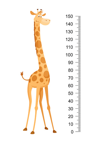 Funny giraffe. Cheerful funny giraffe with long neck. Giraffe meter wall or height chart or wall sticker. Illustration with scale from 0 to 150 centimeter to measure growth.
