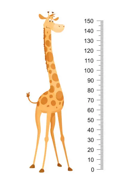 Vector illustration of Funny giraffe. Cheerful funny giraffe with long neck. Giraffe meter wall or height chart or wall sticker. Illustration with scale from 0 to 150 centimeter to measure growth