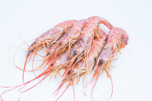 istock Peeled king prawns in shell on a white background 2096525889