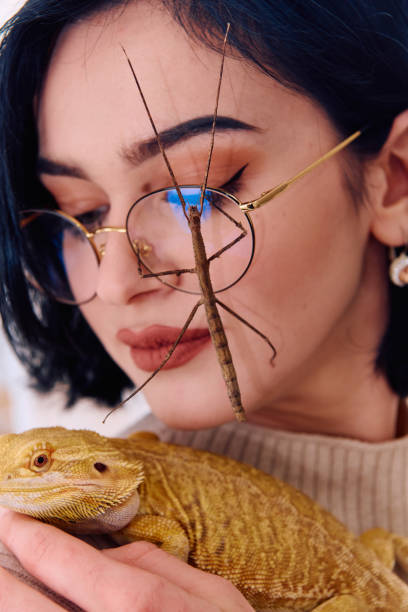 istock Woamn and Her Pets: A Bearded Dragon and a Stick Insect 2096549499