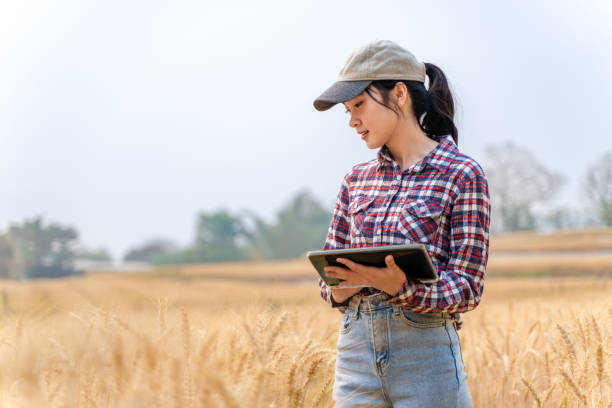 istock Happy young female farmer checking on her barley crop using her computer tablet to collect date 2096563802