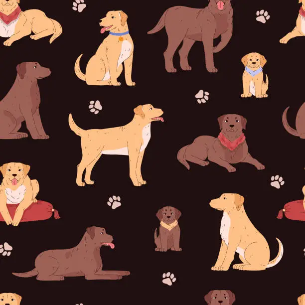 Vector illustration of Seamless pattern with Labrador retriever in different poses, vector cartoon cute brown dog and puppy, breed pet on black