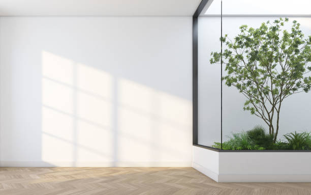 istock Morning light and indoor garden in a empty room 2096594189