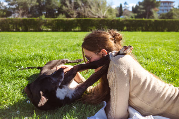 istock Showing some love to a dog I'm petsitting 2096600709