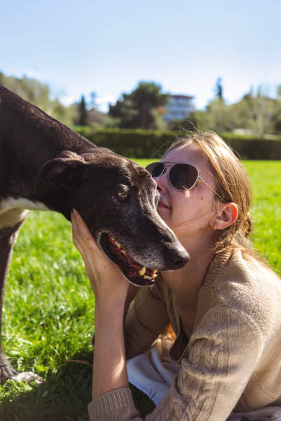 istock So much love to share for this lovely greyhound 2096601581
