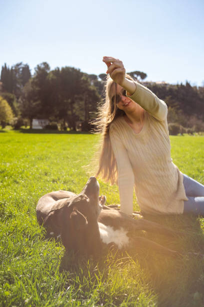 Young woman petsitting a greyhound at the public park